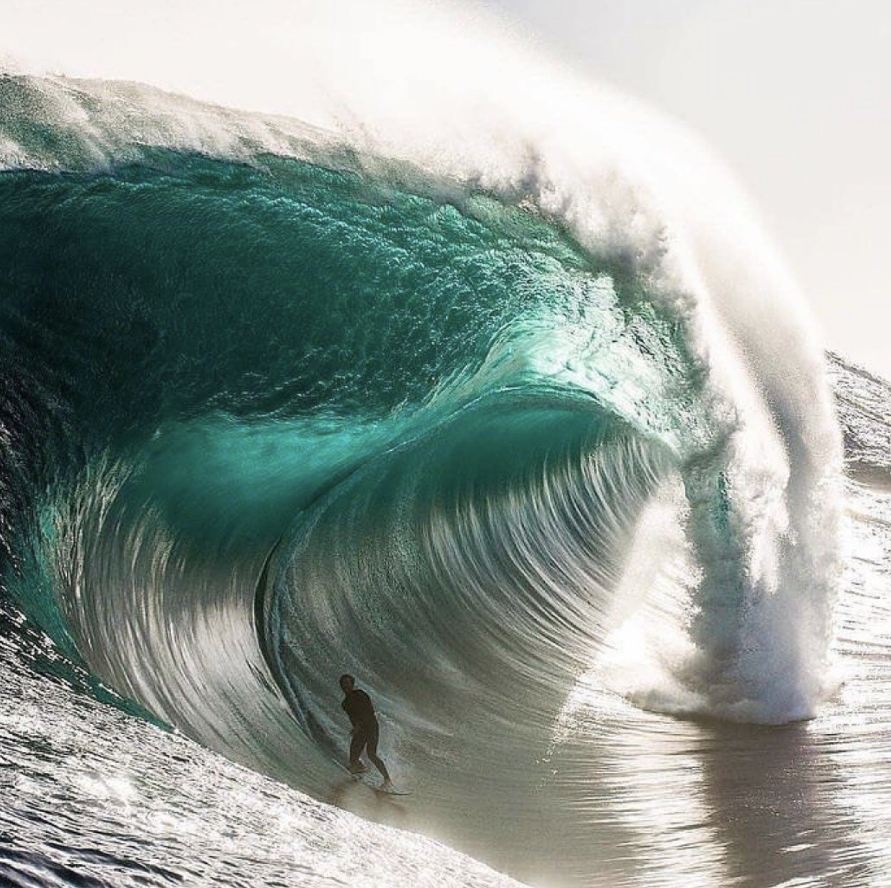 La gran ola surf