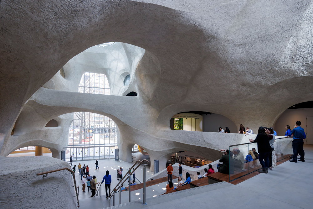 Museo Historia Natural NYC