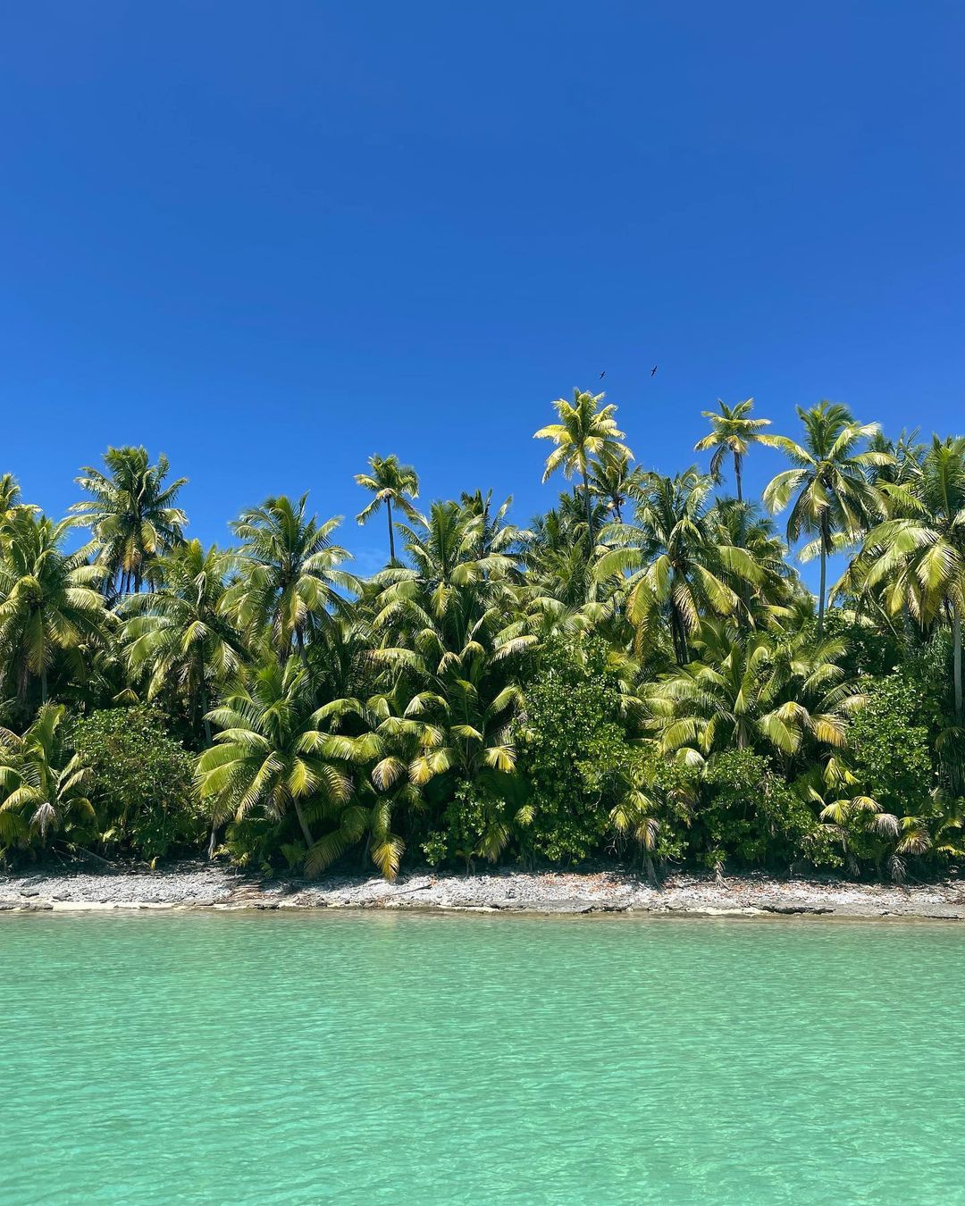 The Brando Resort