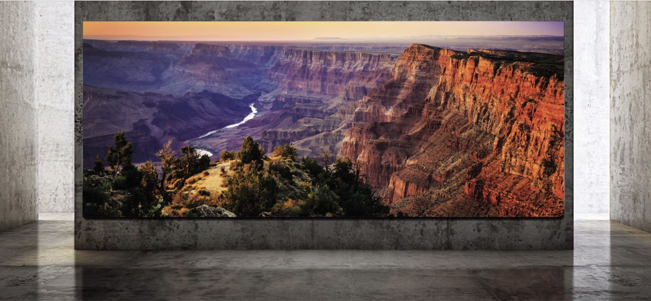 TV pantalla gigante