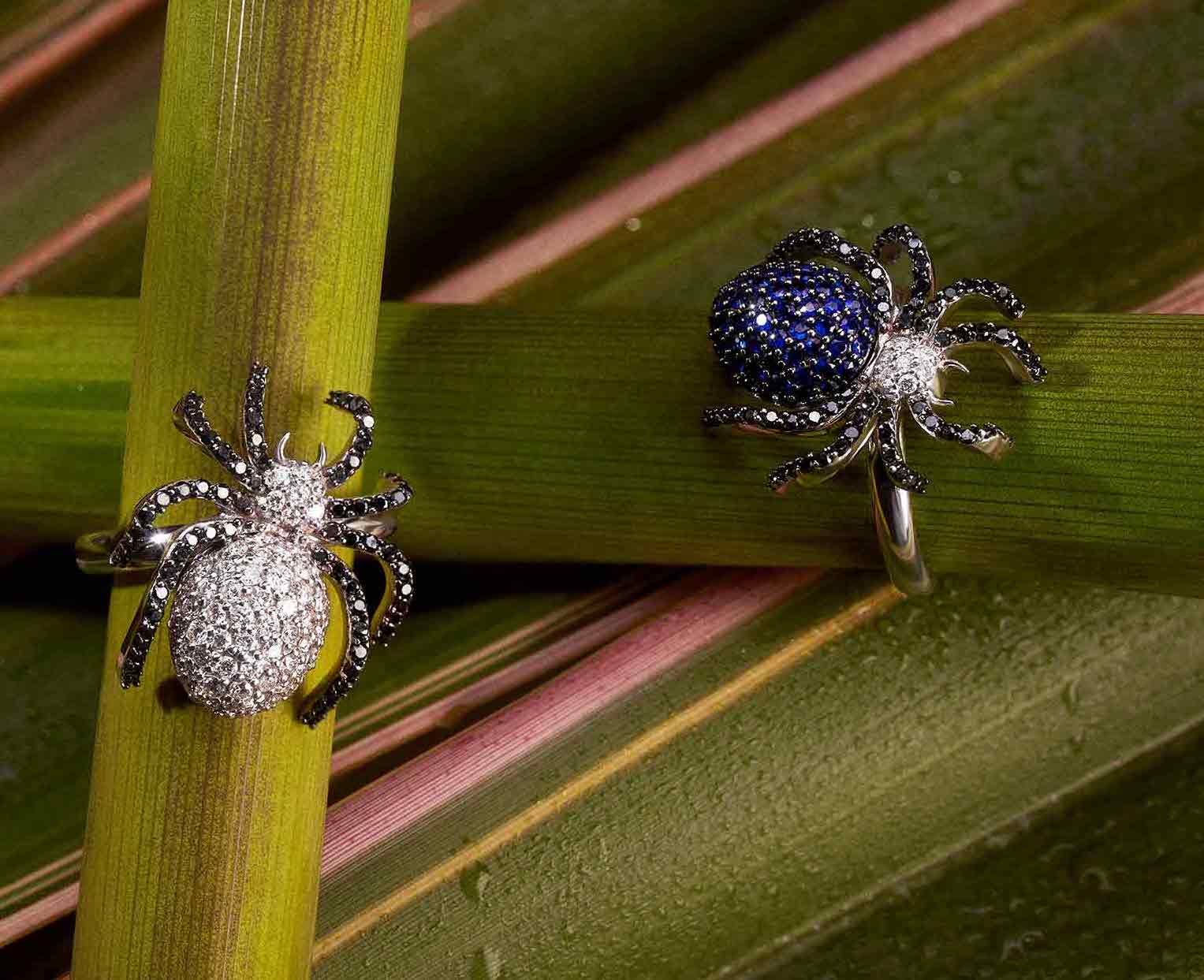 Araña