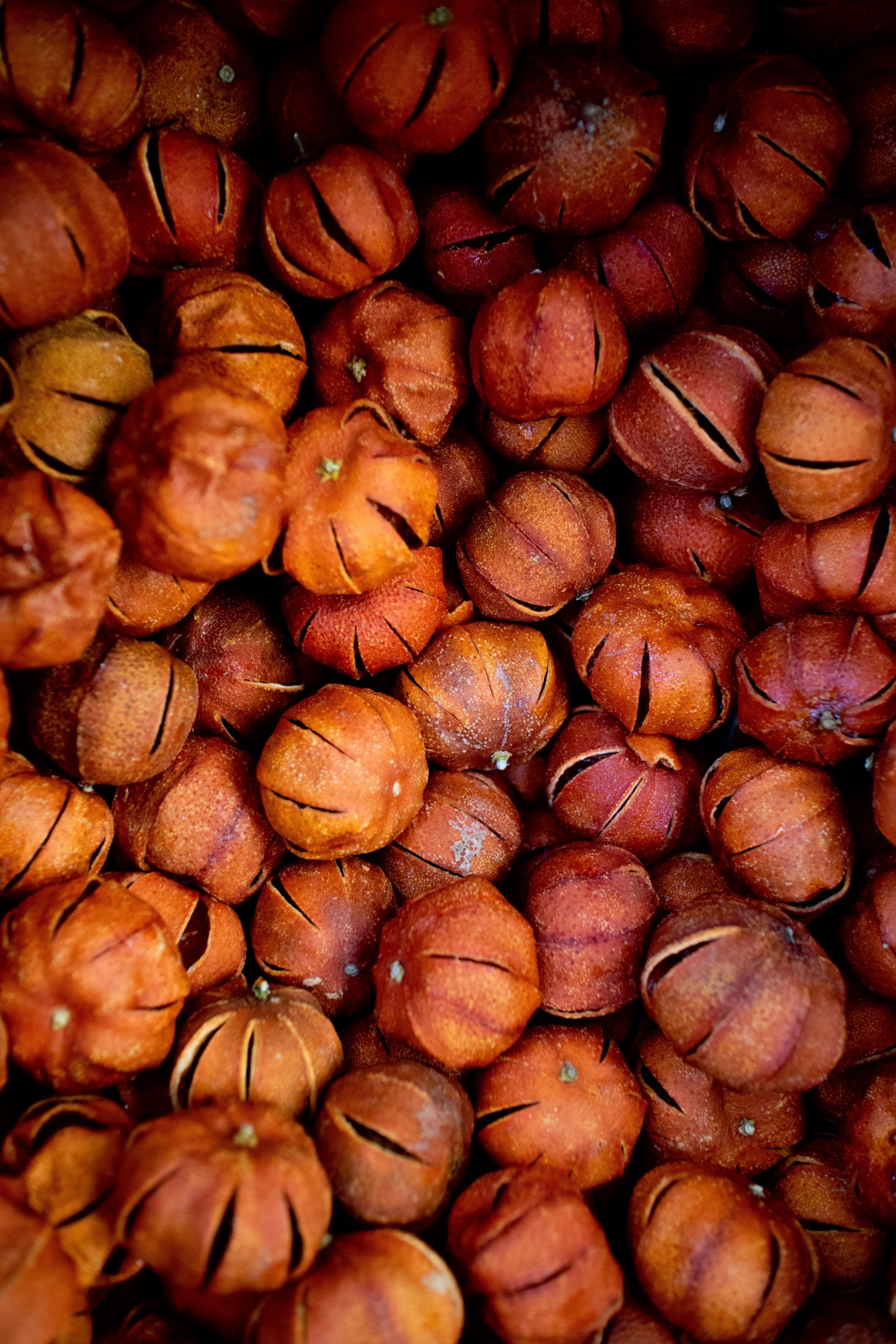 Semillas de calabaza