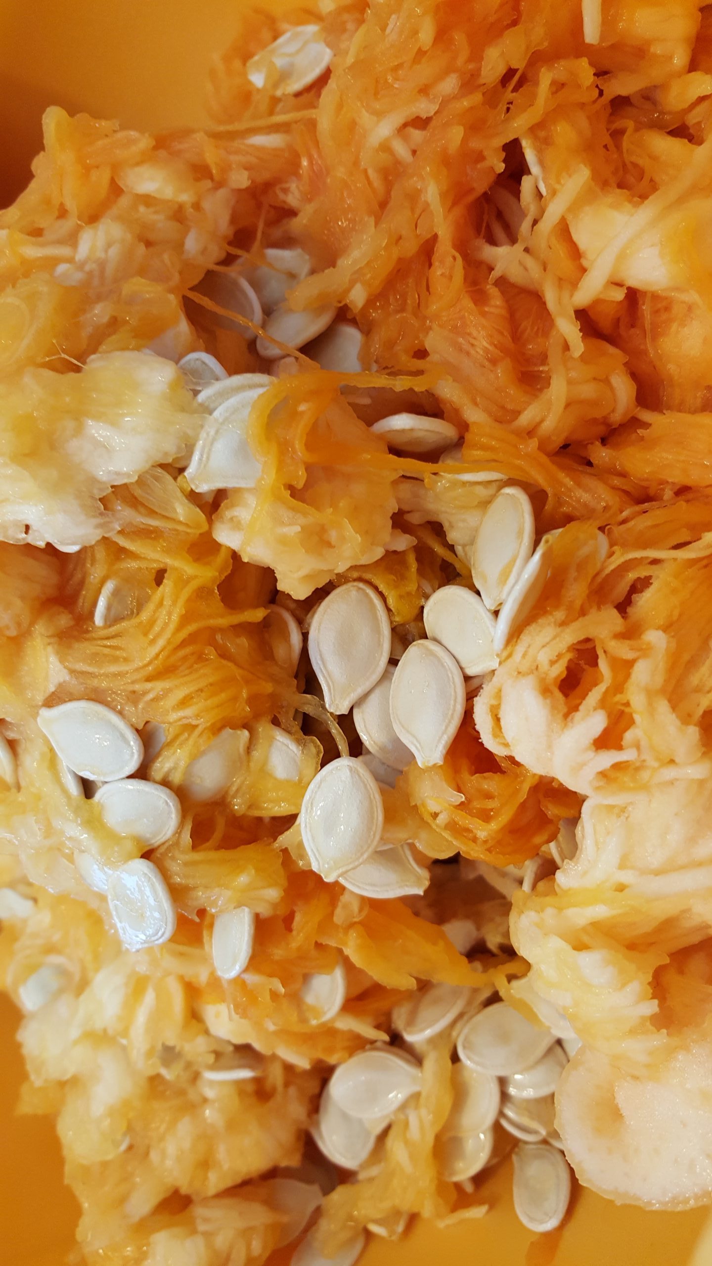 Semillas de calabaza