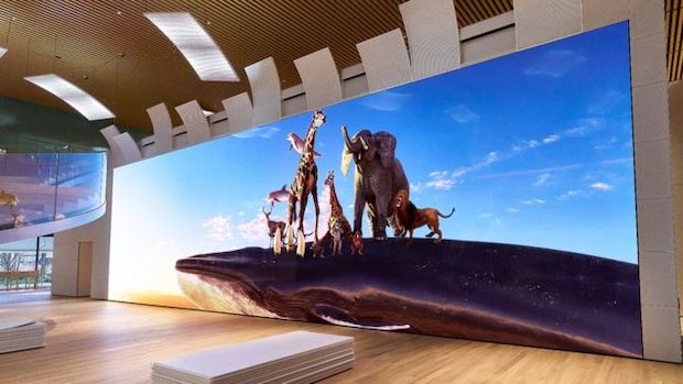 TV pantalla gigante