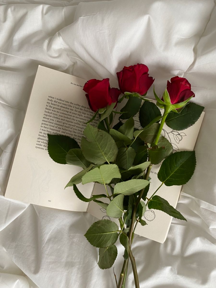 Flores