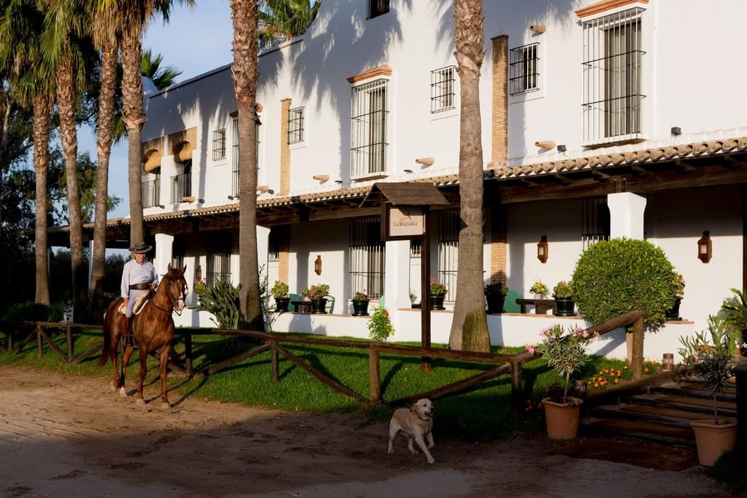 Kaizen Hoteles
