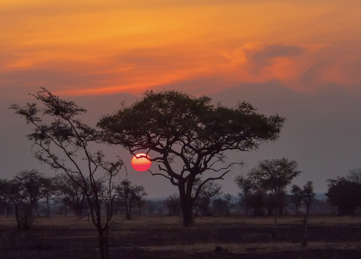 &Aacute;frica en tren