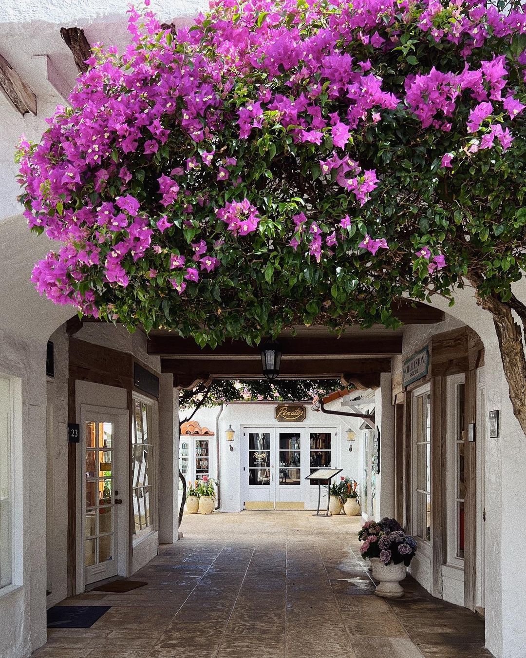 Restaurantes Palm Beach