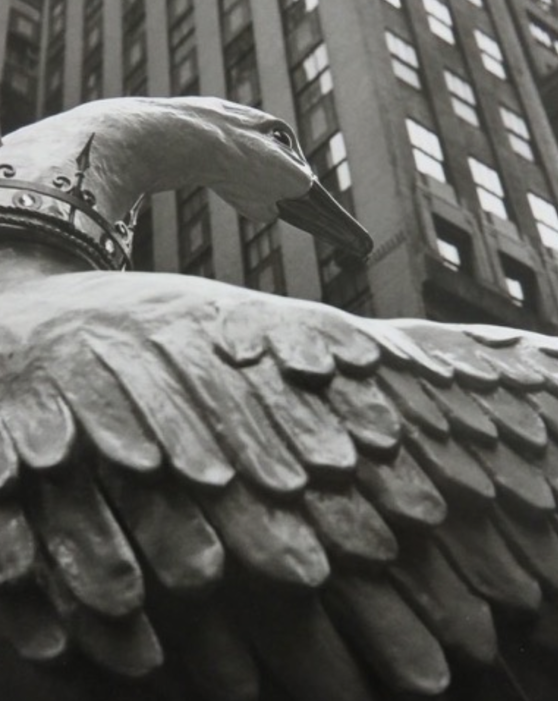 Louis Stettner