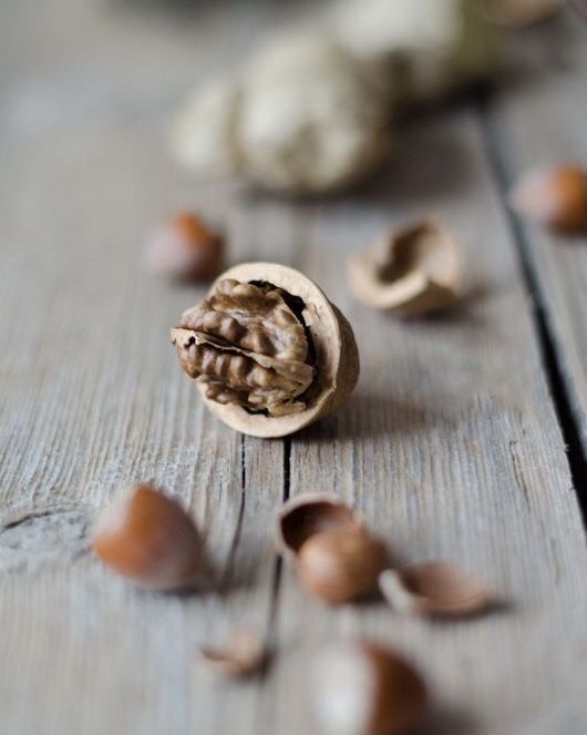 Nueces