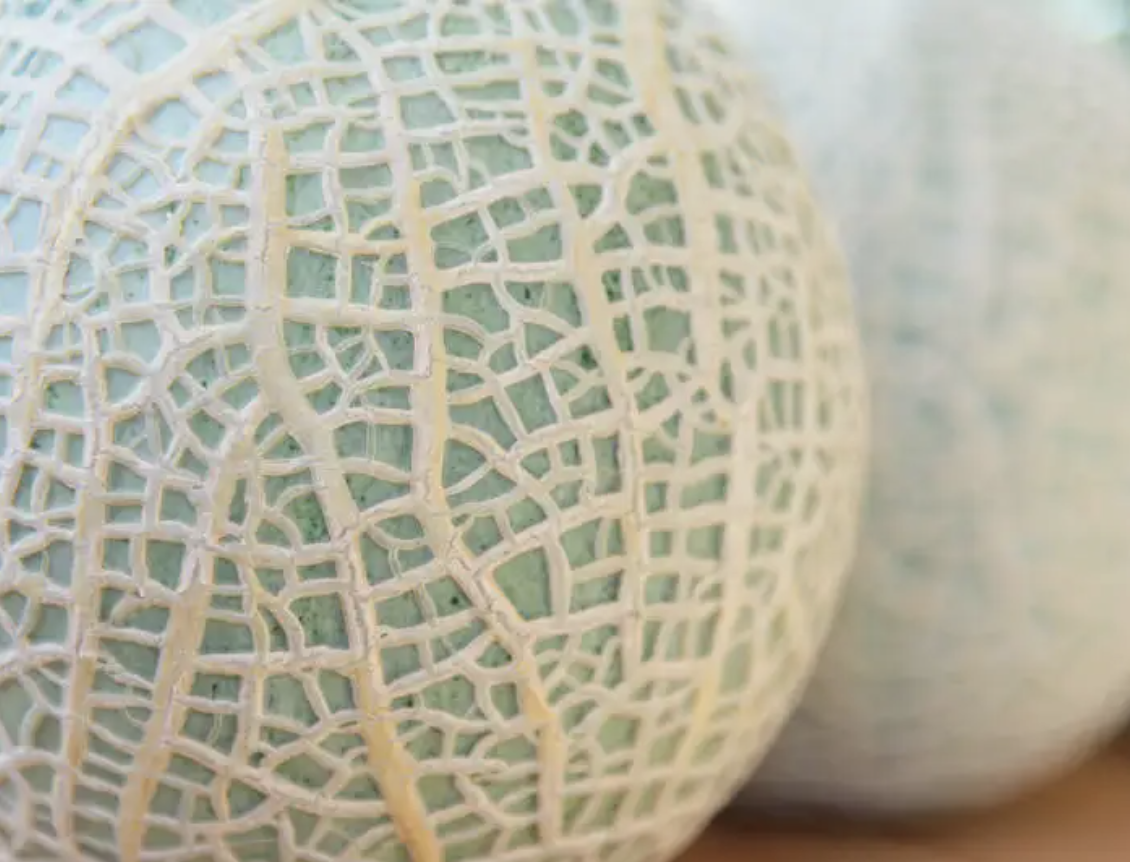 Mel&oacute;n Yubari