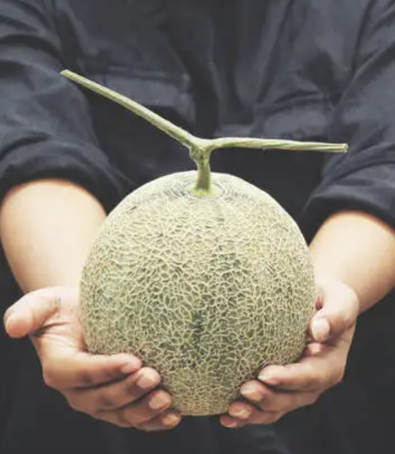 Mel&oacute;n Yubari