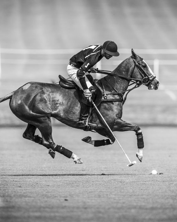 polo sotogrande