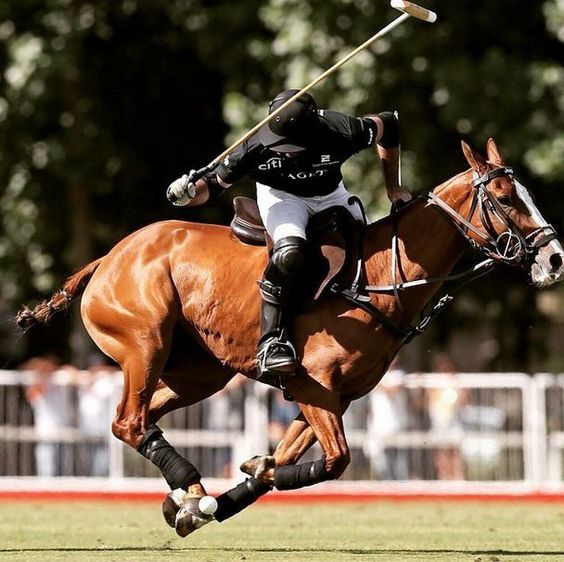 polo sotogrande