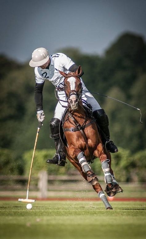 polo sotogrande