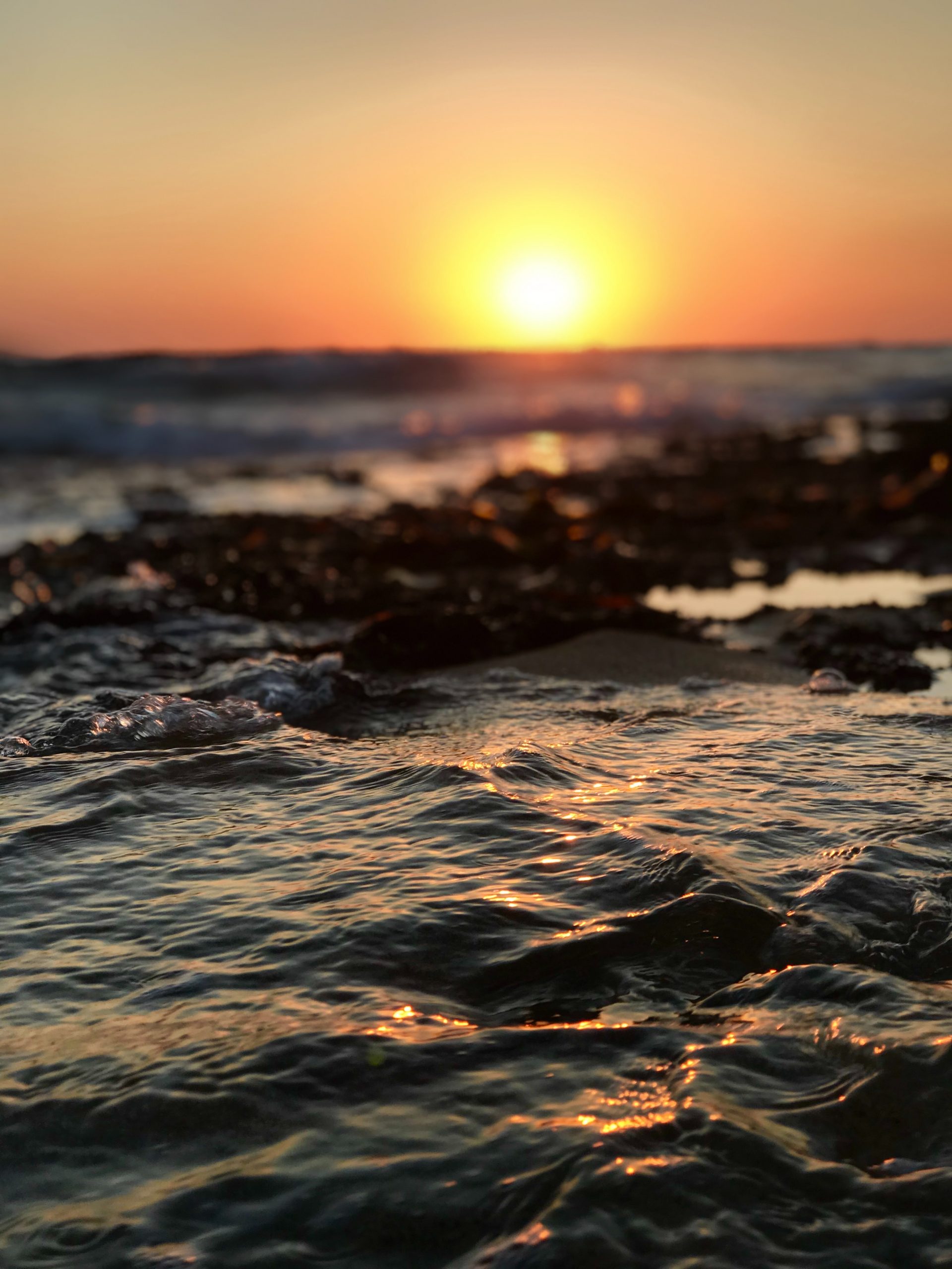 Ibiza