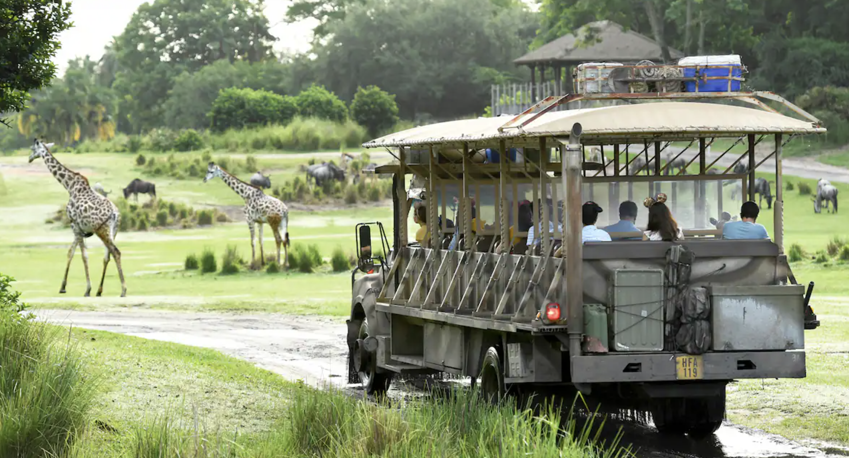 Parque Disney's Animal Kingdom
