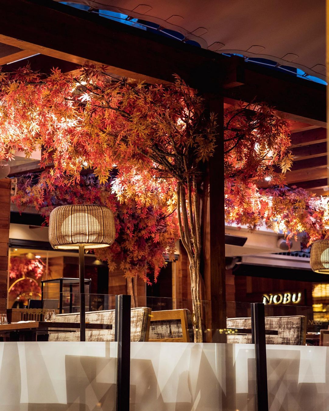 Nobu Marbella