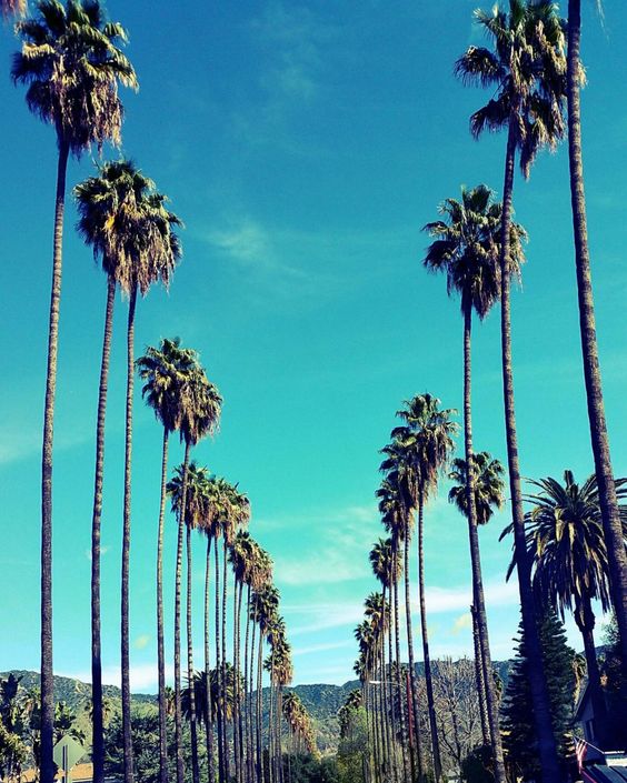 Los &Aacute;ngeles