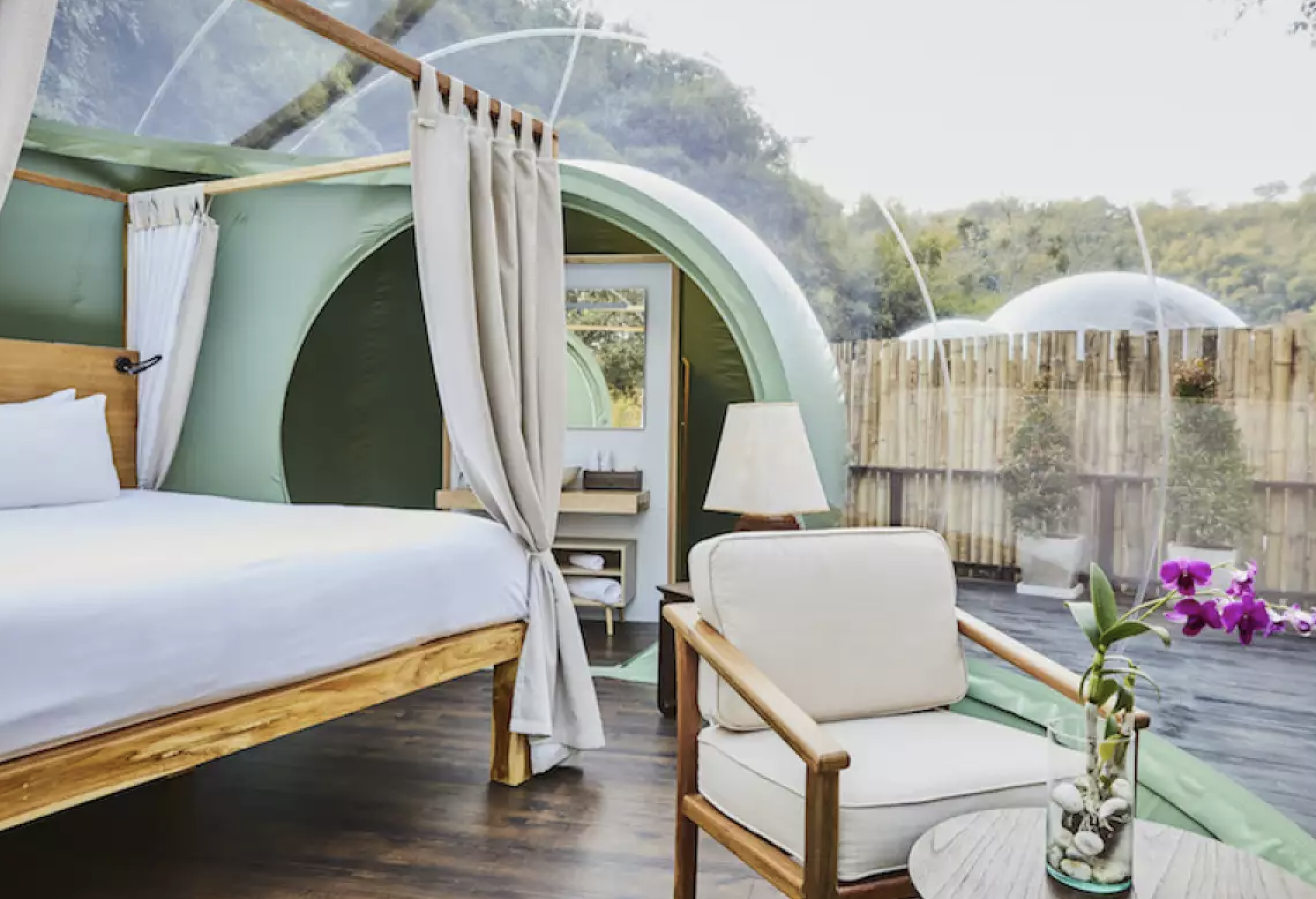 Hotel elefantes Tailandia