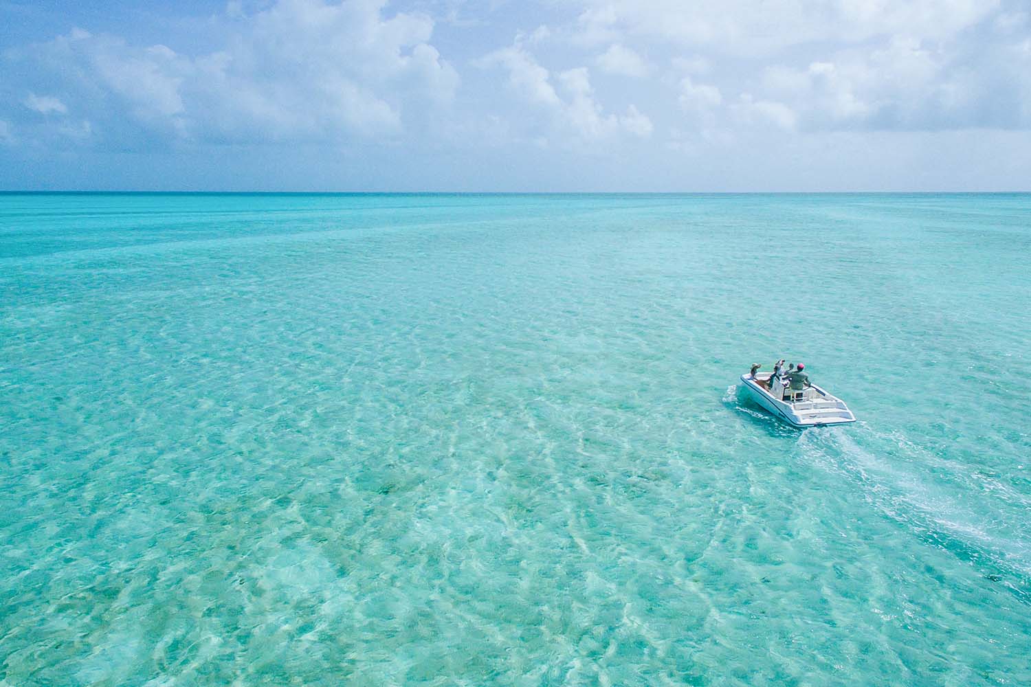 Turcas y Caicos