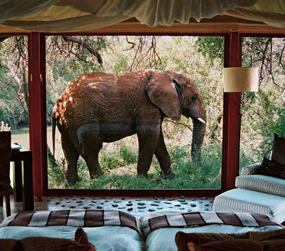 Hotel elefantes en &Aacute;frica