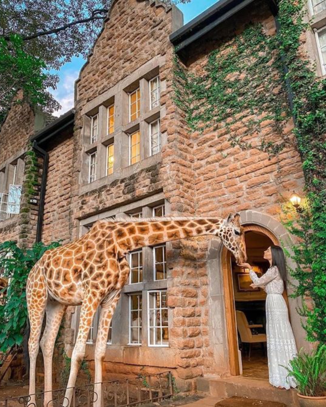 Giraffe Manor