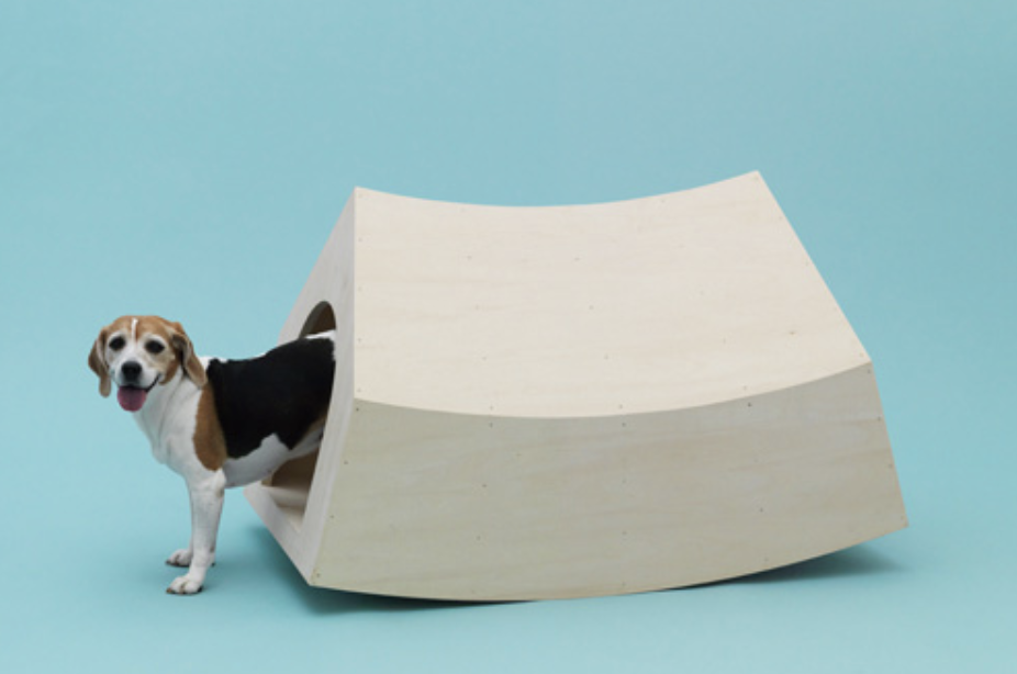 Casa para perros