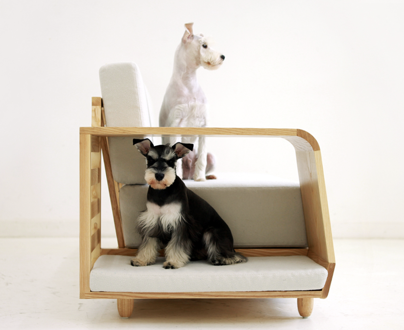 Casa para perros