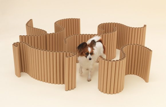 Casa para perros