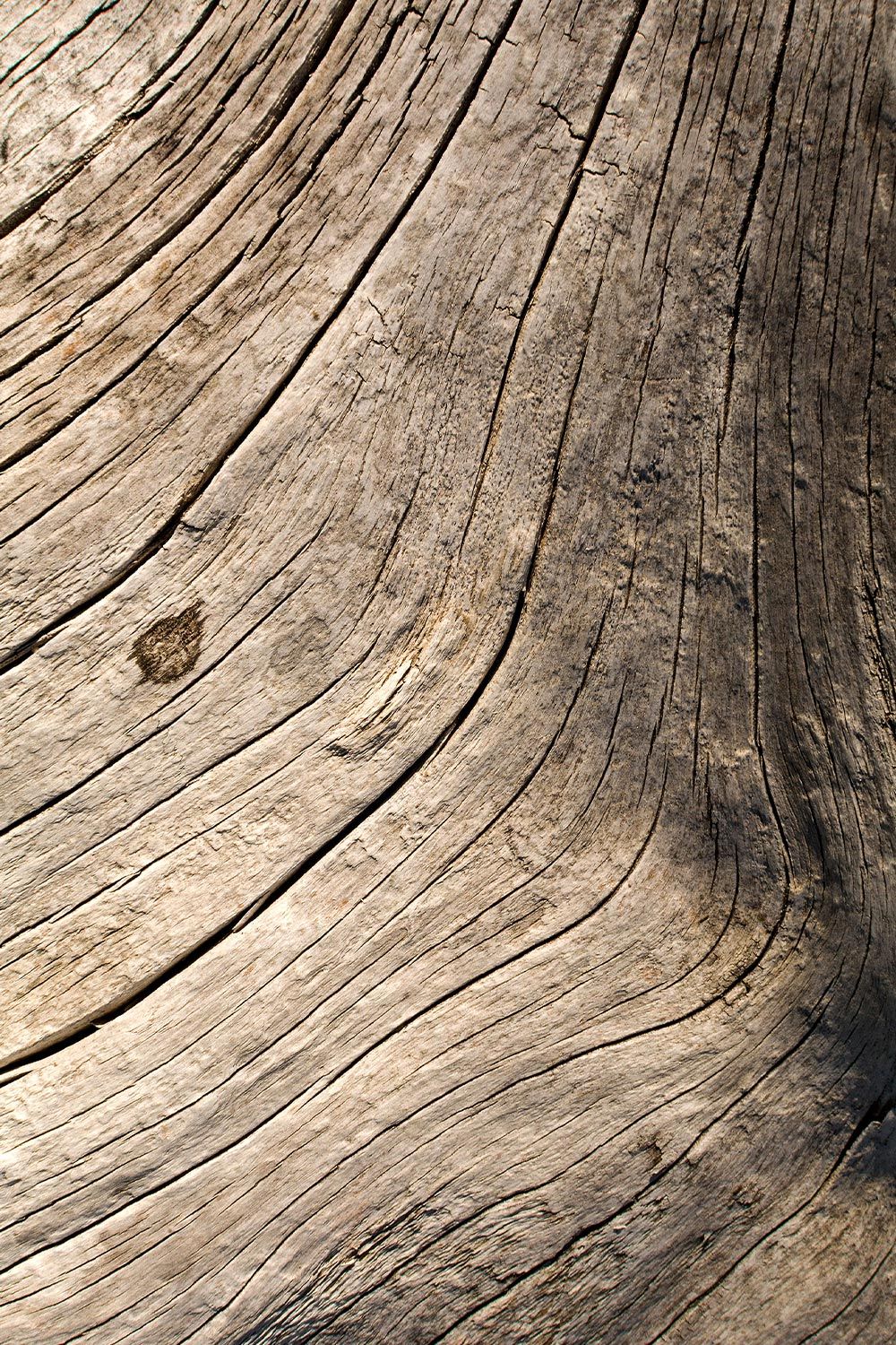 Madera
