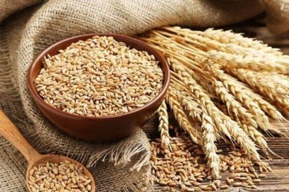 avena