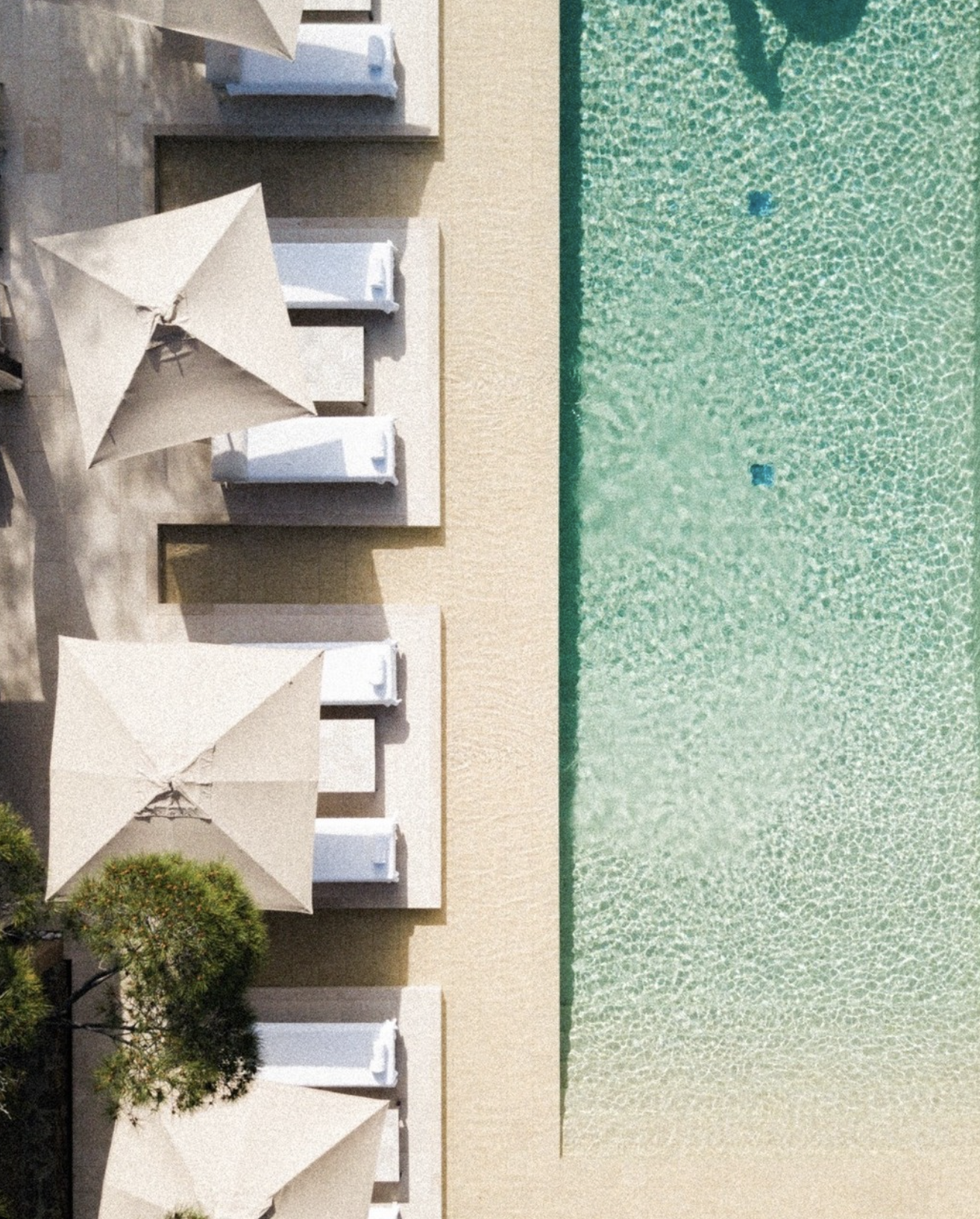 MUSE Saint Tropez
