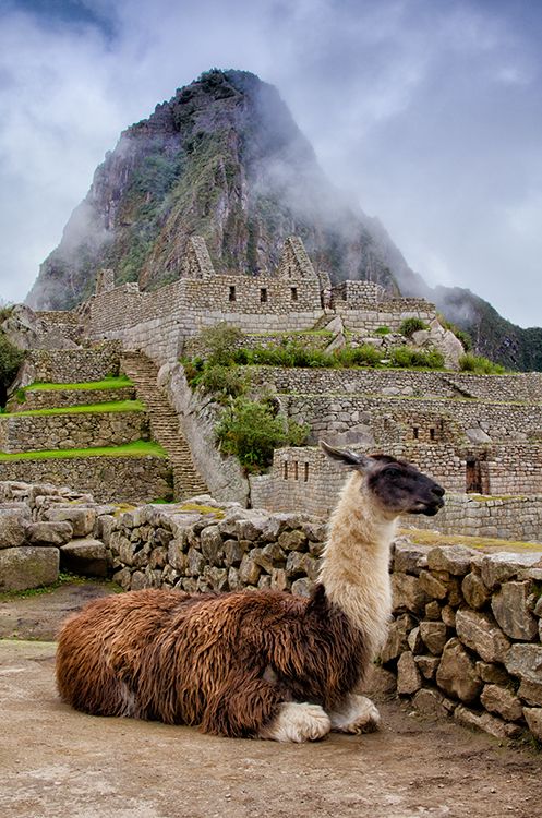 Machupichu