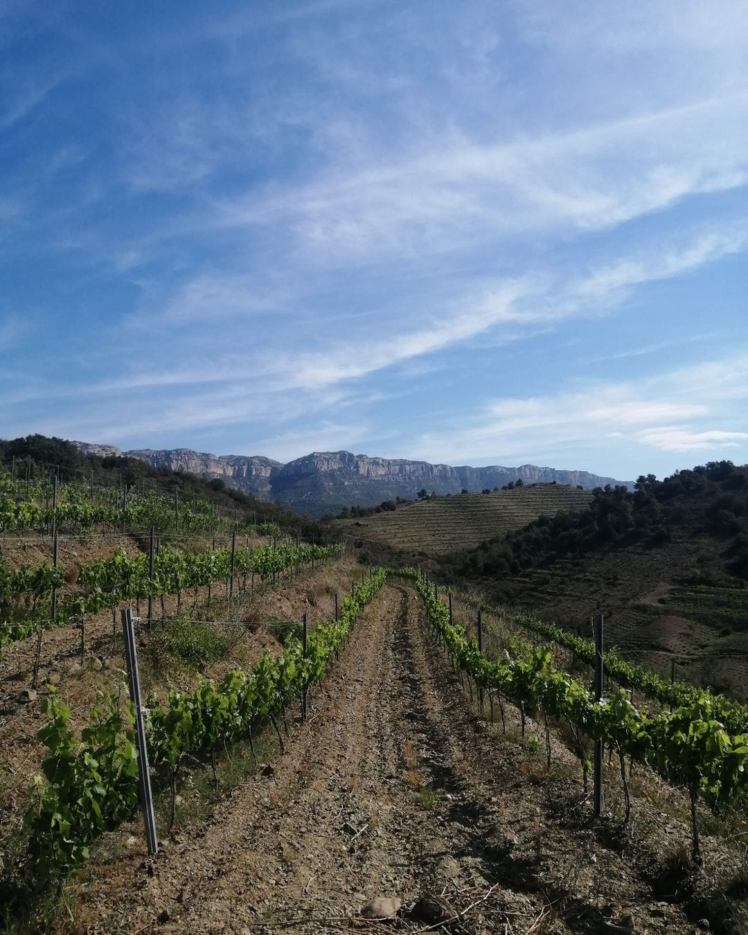 Priorat