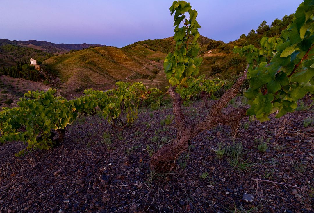 Priorat