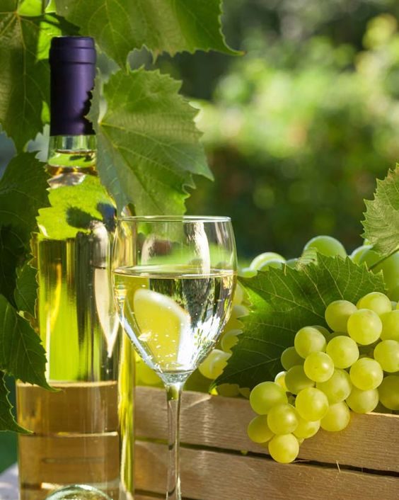 vino blanco