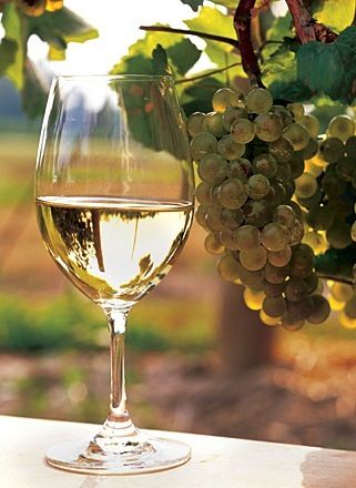 vino blanco