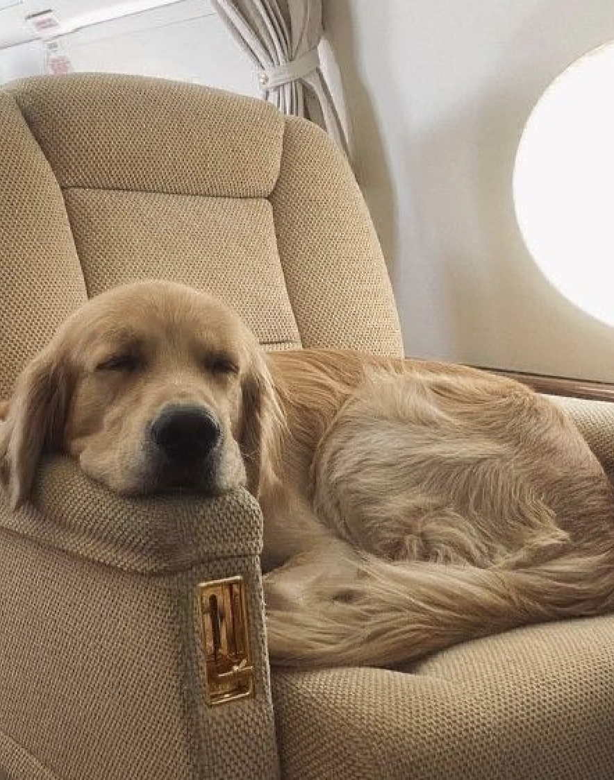 Jet lag