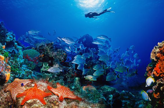 Siete Maravillas Submarinas