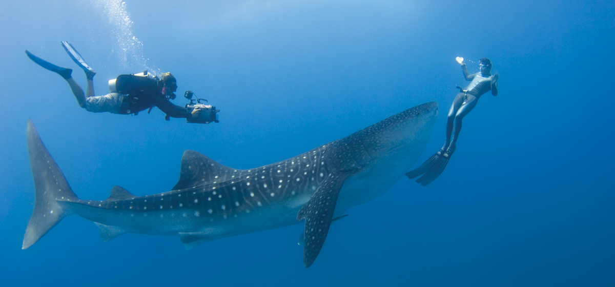 Siete Maravillas Submarinas