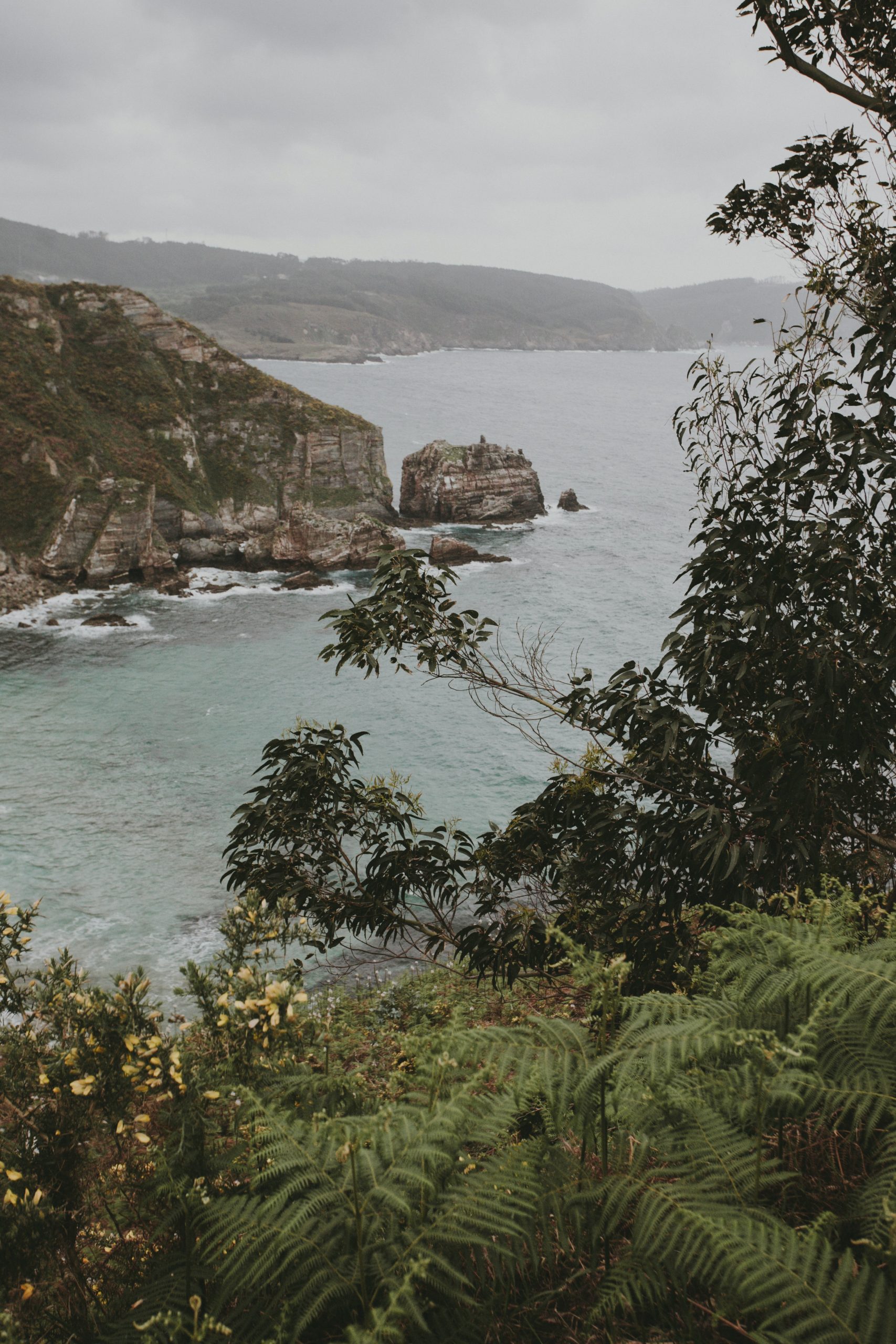 Galicia