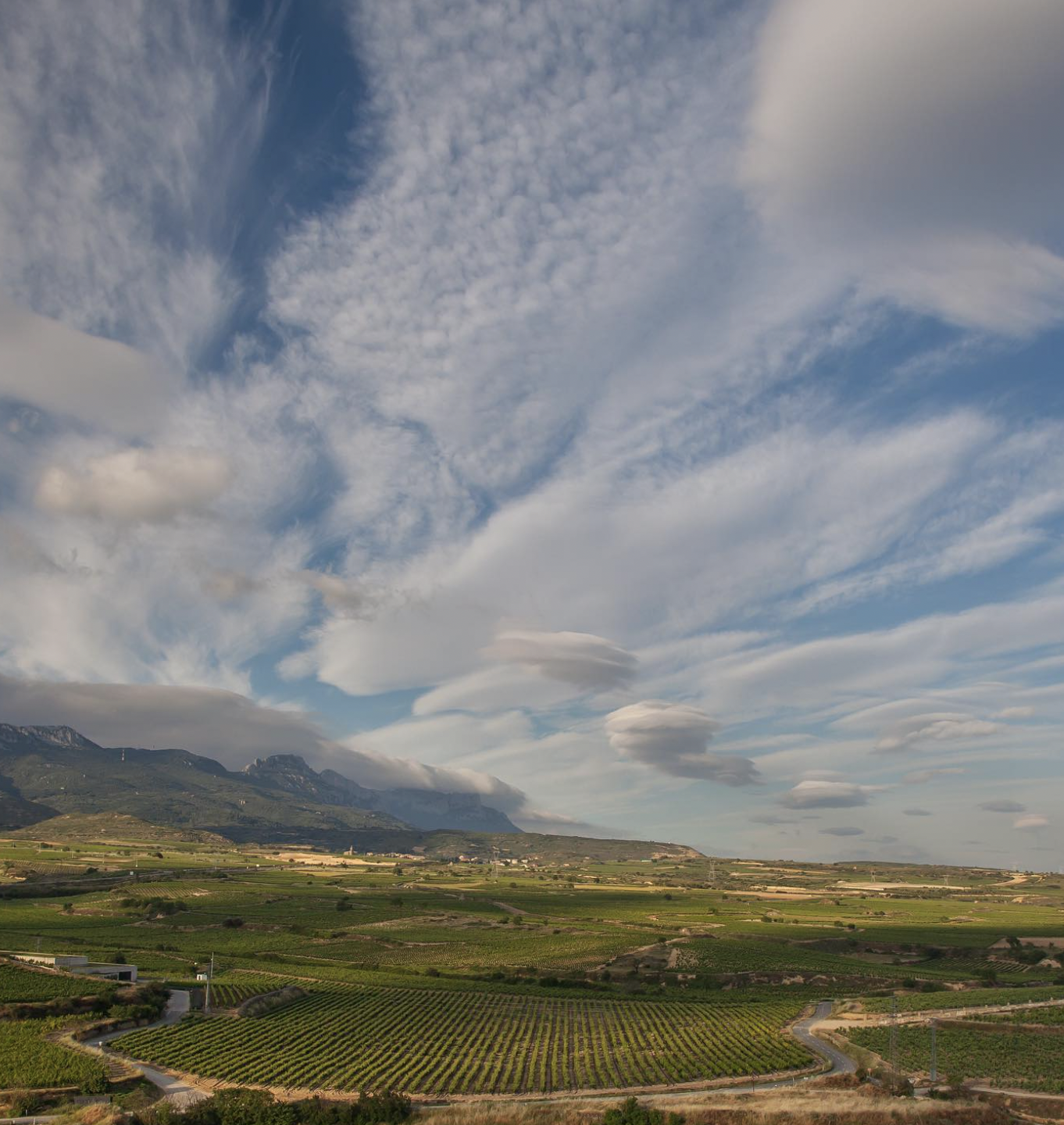 Bodegas Macán