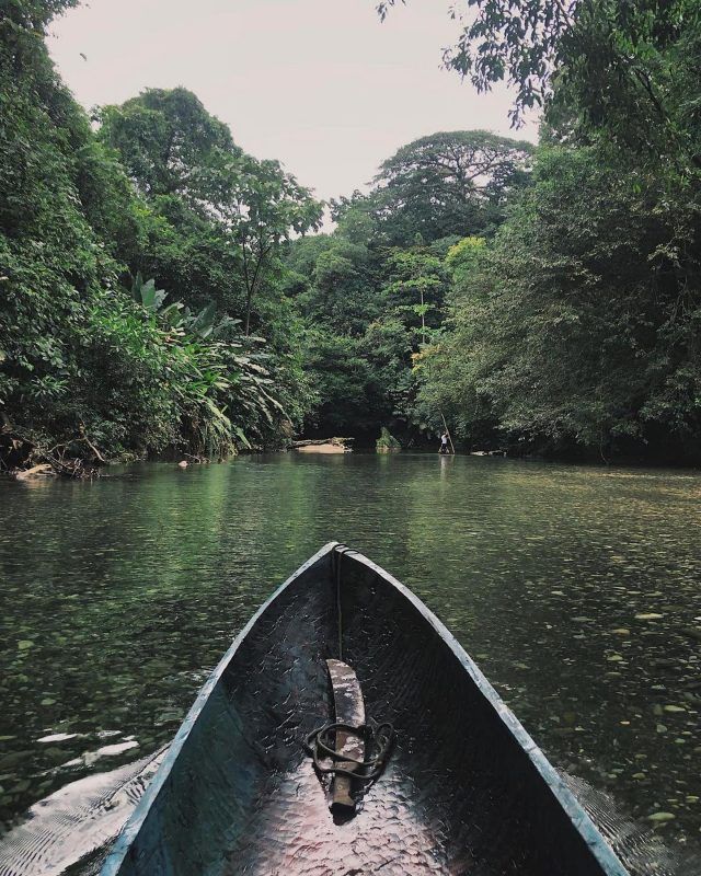 Crucero por el Amazon&iacute;a peruana