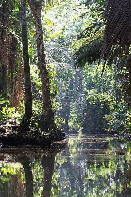 Crucero por el Amazon&iacute;a peruana