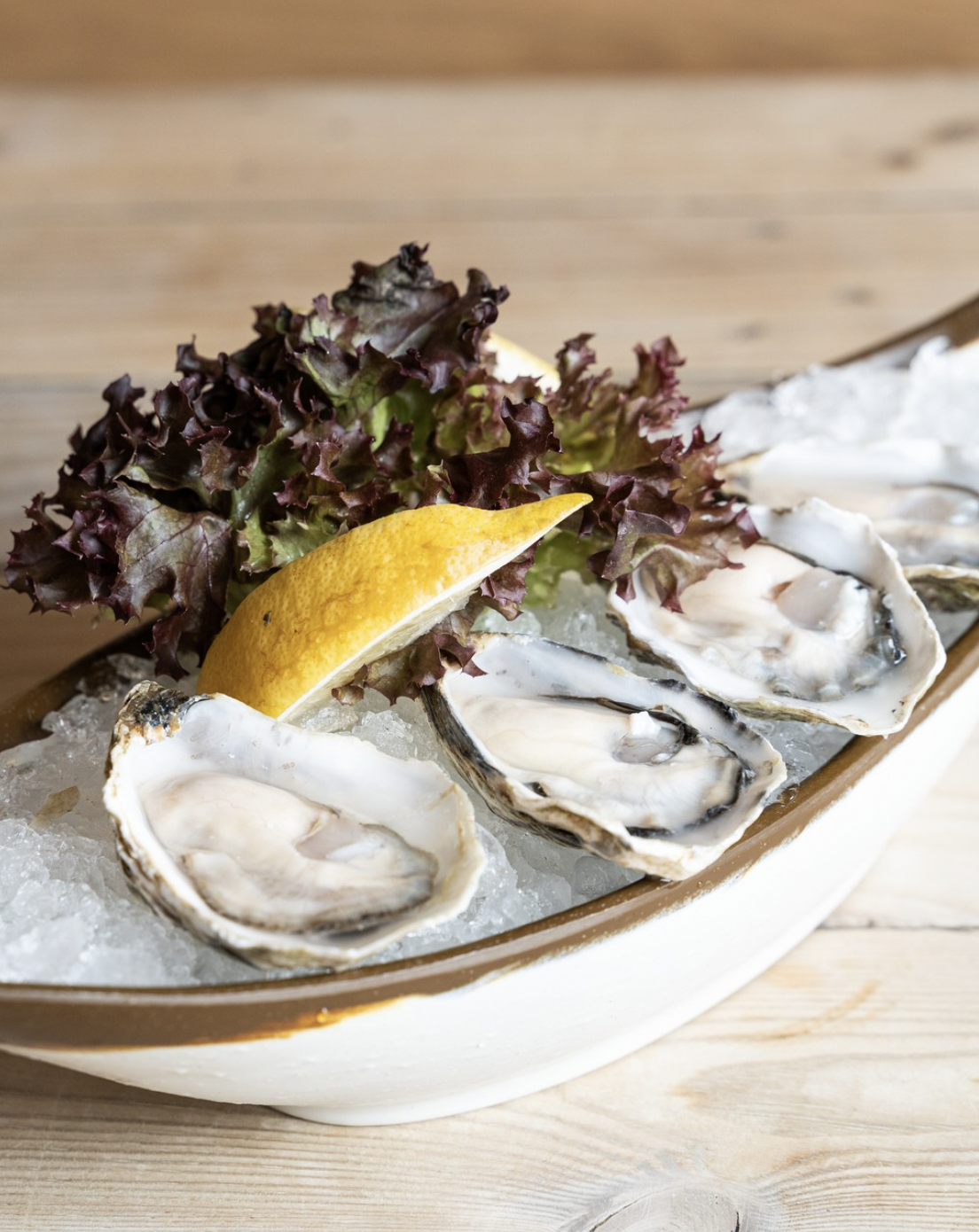 Barbillón Oyster