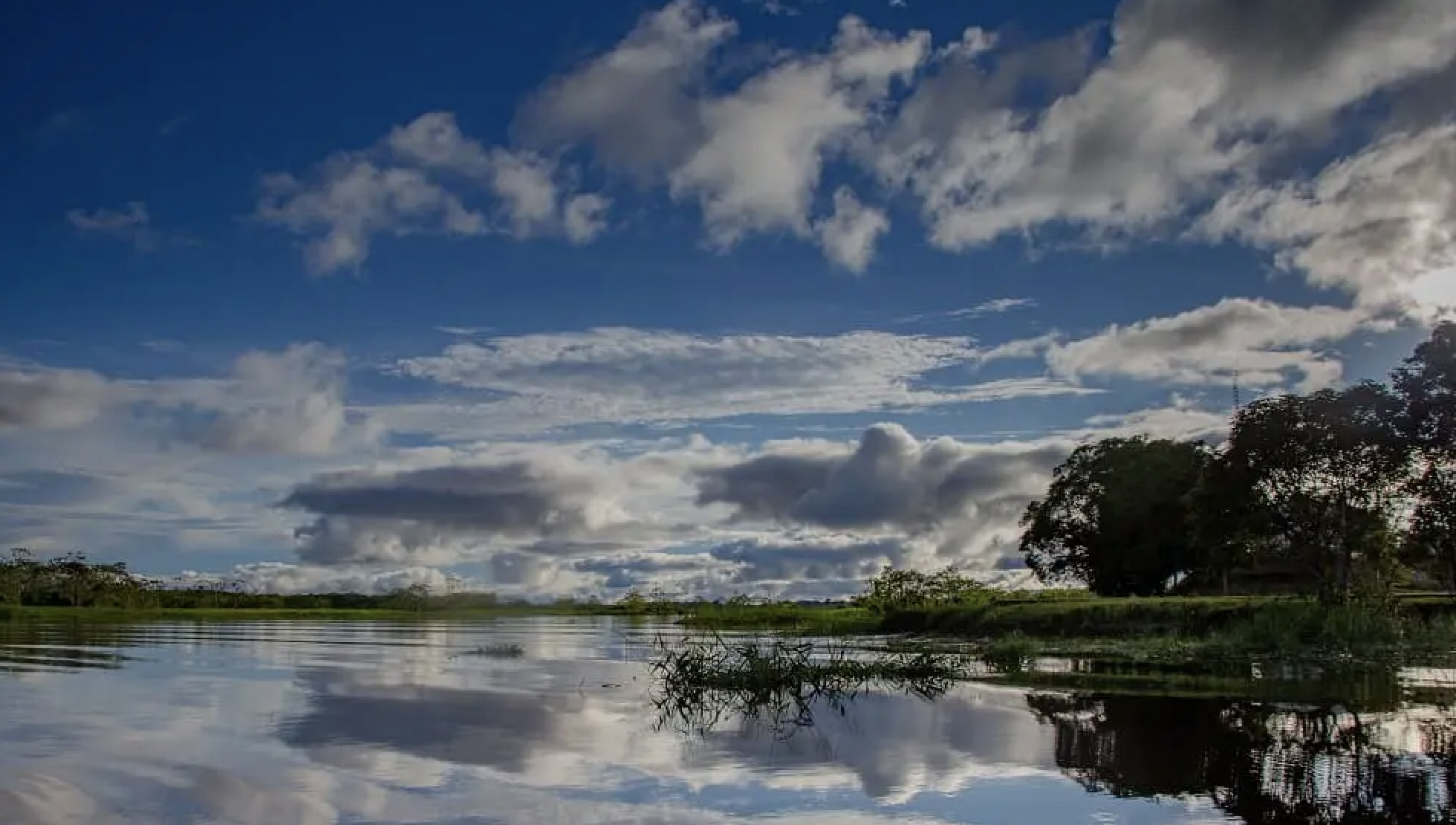 Crucero por el Amazonas