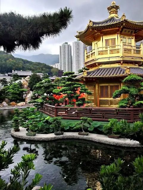 Hong Kong 