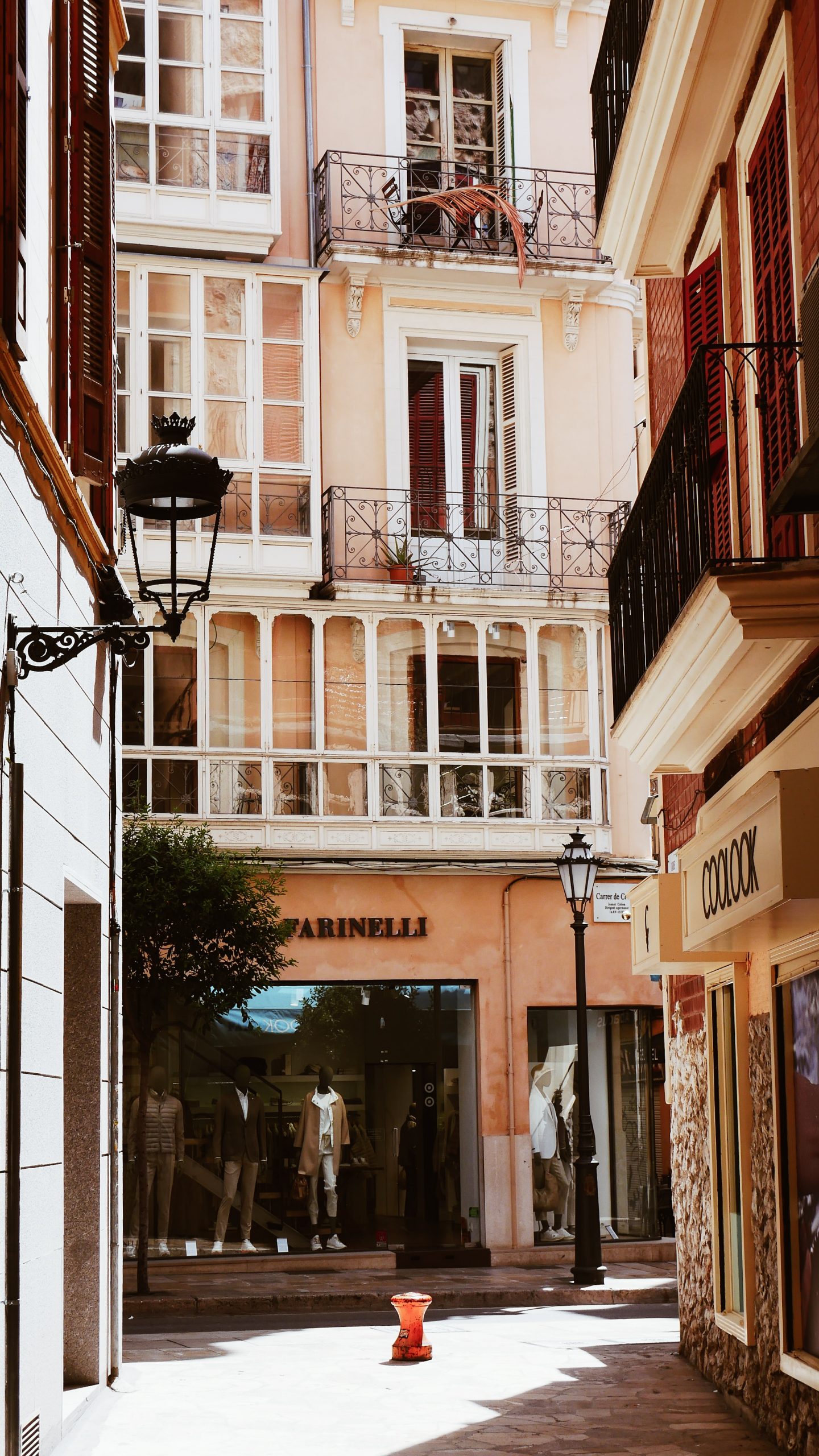 Palma