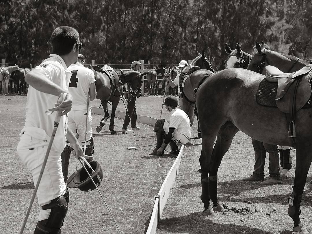 Santa Mar&iacute;a Polo Club